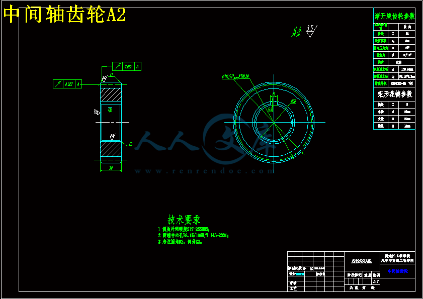中间轴齿轮A2.gif