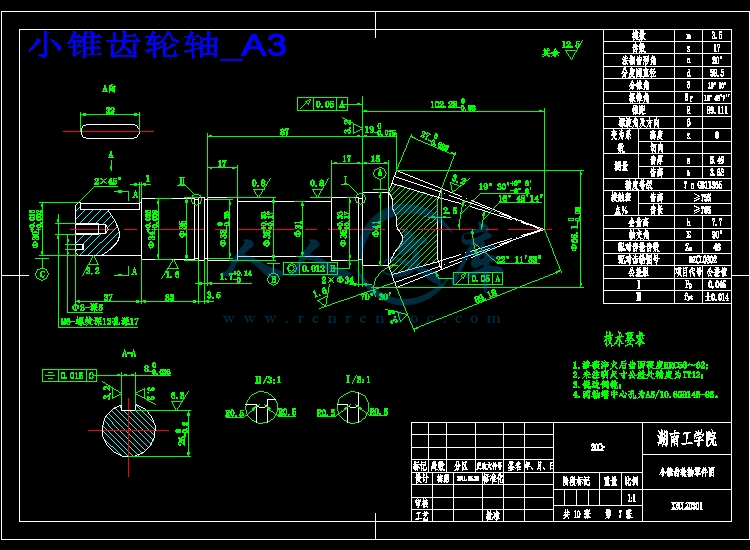 小锥齿轮轴_A3.jpg