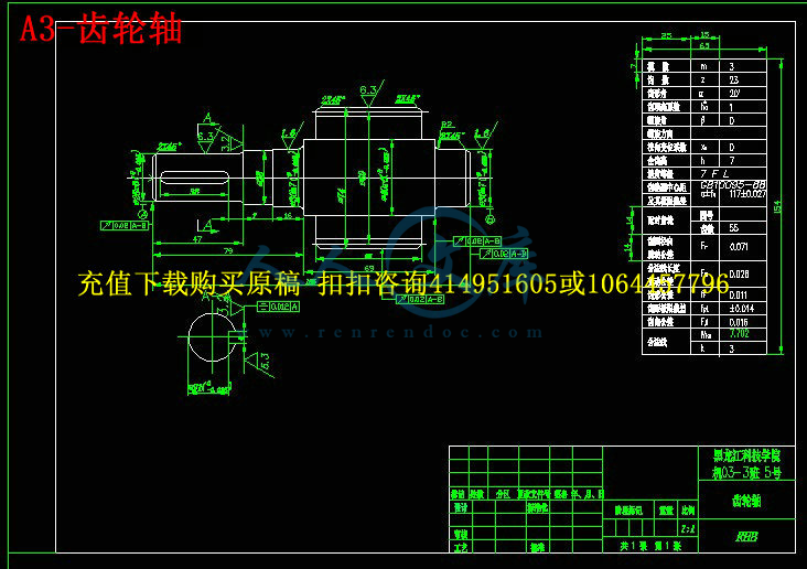 A3-齿轮轴.jpg