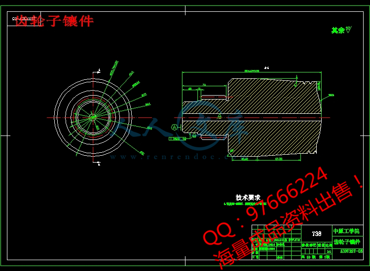 齿轮子镶件.jpg