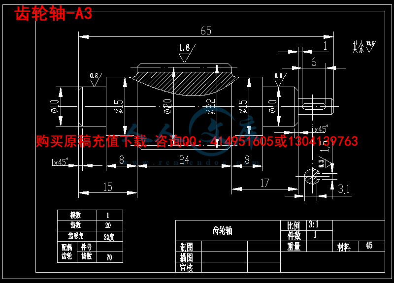齿轮轴-A3.png