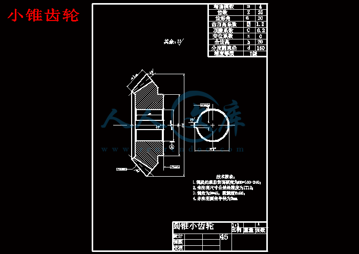 小锥齿轮.gif