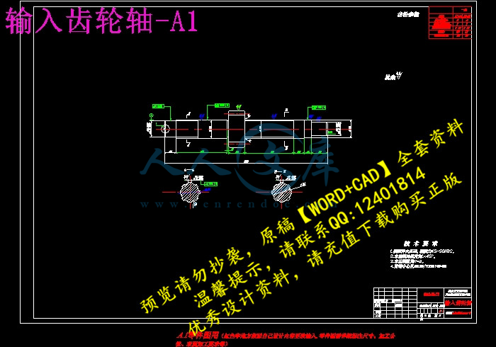 输入齿轮轴-A1.jpg